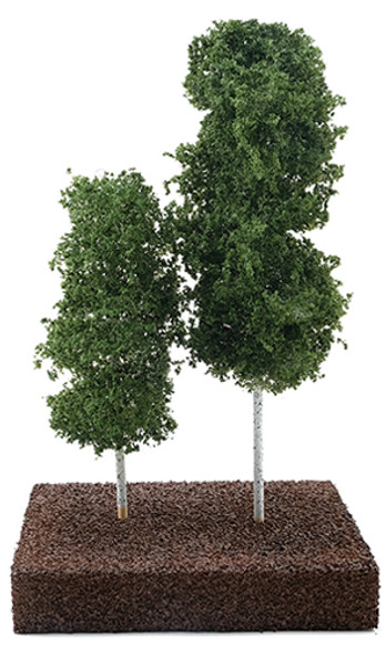 OakridgeStores.com | Green Aspen Grove on Spike - 2 pcs (CA0577)