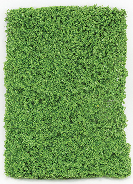 OakridgeStores.com | Light Green Leaf Micro-Phlox 5"x 7" (CA4120)
