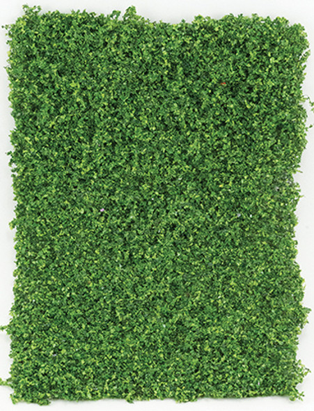 OakridgeStores.com | Medium Green Leaf Micro-Phlox 5" x 7 " (CA4121)