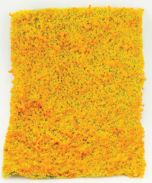 OakridgeStores.com | Golden Autumn Micro-Phlox 5" x 7" (Golden Yellow w/ hint of orange) (CA4131)