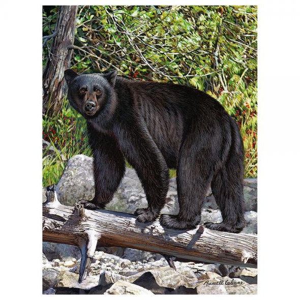 OakridgeStores.com | GIFT ESSENTIALS - Black Bear 1000 Piece Puzzle 645194083592