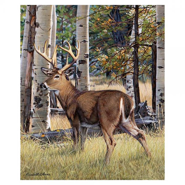 OakridgeStores.com | GIFT ESSENTIALS - Fall Whitetail 1000 Piece Puzzle 645194083608