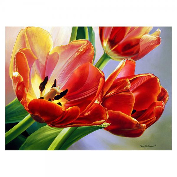 OakridgeStores.com | GIFT ESSENTIALS - Tulips 1000 Piece Puzzle 645194083615