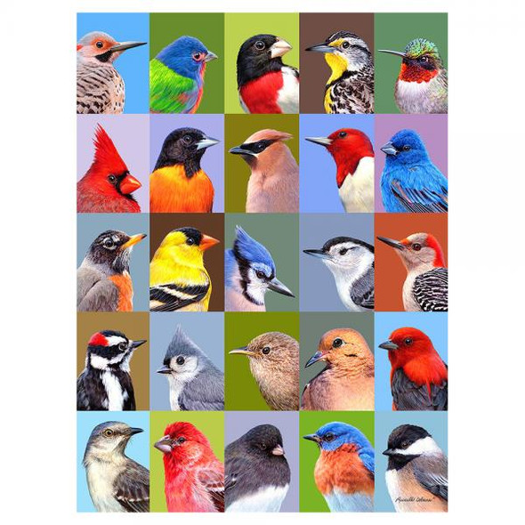 OakridgeStores.com | GIFT ESSENTIALS - Backyard Bird Friends 1000 Piece Puzzle 645194083639