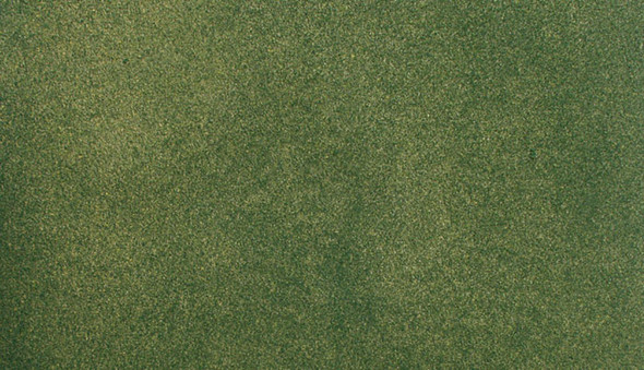 OakridgeStores.com | Woodland Scenics Green Grass Mat 50'x100' (RG5122) 724771051220