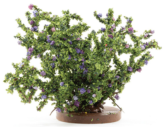 OakridgeStores.com | CARRADUS Large Purple Rose Bush (CARBLPP)