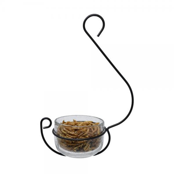 OakridgeStores.com | BACKYARD ESSENTIALS - Clear Glass Hanging Treat and Mealworm Bird Feeder (BE173) 645194779754