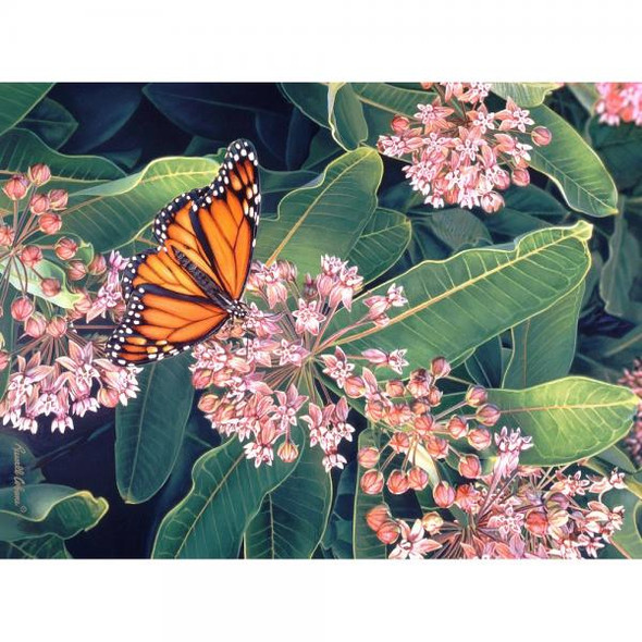 OakridgeStores.com | Gift Essentials - Monarch on Milkweed 1000 Piece Jigsaw Puzzle (GEP111) 645194084742