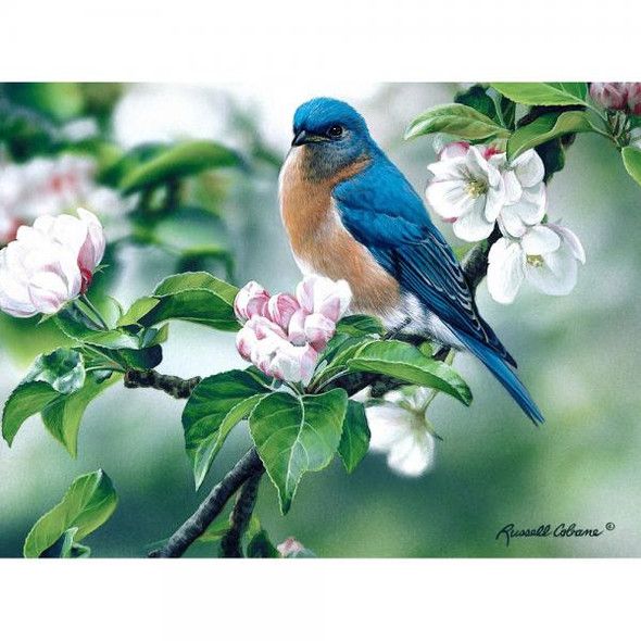 OakridgeStores.com | Gift Essentials - Bluebird on Apple Blossoms 1000 Piece Jigsaw Puzzle (GEP113) 645194084766