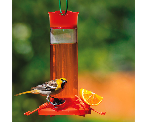 OakridgeStores.com | Perky Pet - Glass Oriole Nectar Feeder (PP209BO) 078978928251