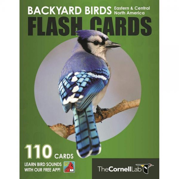 OakridgeStores.com | Princeton University Press - Backyard Birds Flash Cards - Eastern & Central North America (PR0691194707) 9780691194707