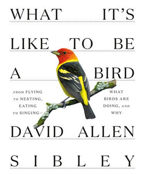 OakridgeStores.com | Random House - Sibley What It's Like To Be a Bird Guide Book (RH0307957894) 9780307957894