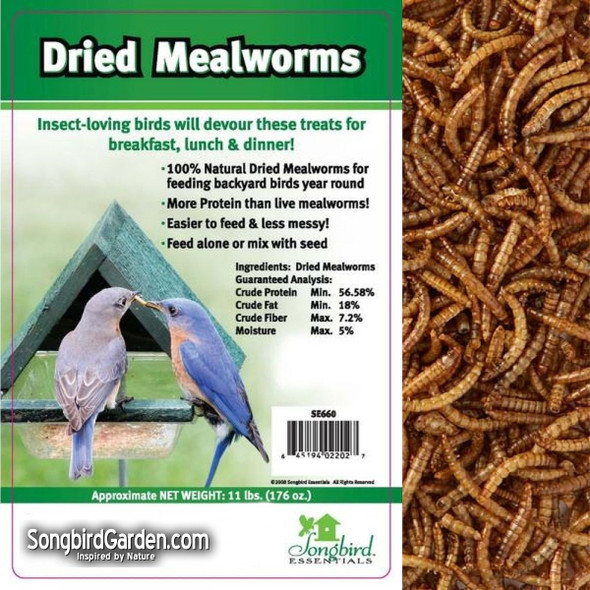 OakridgeStores.com | Songbird Essentials - Bulk Mealworm Bird Feed - 11 Pound Bag (SE660) 645194022027