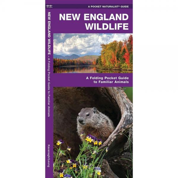 OakridgeStores.com | Waterford Press - New England Wildlife: A Folding Pocket Guide Book to Familiar Animals (WFP1583551738) 9781583551738