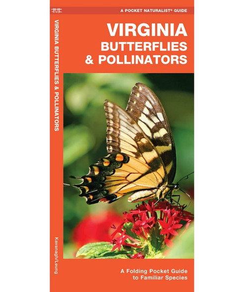 OakridgeStores.com | Waterford Press - Virginia Butterflies & Pollinators - Guide Book by James Kavanagh (WFP1620053850) 884682013707