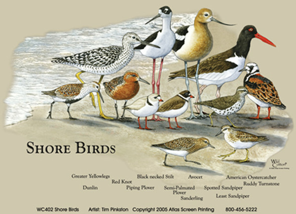 OakridgeStores.com | ATLAS SCREEN PRINTING - Shorebirds Tote Bag (WC402B) 842648001694