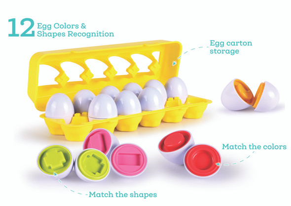 OakridgeStores.com | LEGLER TOYS - Shape Sorter & Matching Eggs Playset (211209) 842446102098