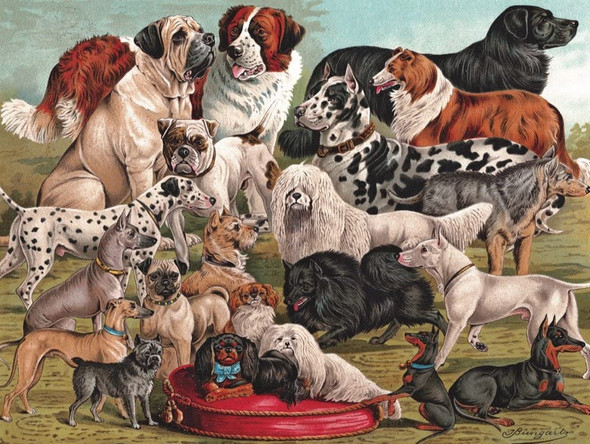 OakridgeStores.com | NEW YORK PUZZLE CO. - Vintage Images Dog Breeds - 1000 Piece Jigsaw Puzzle (PD1880) 819844015084