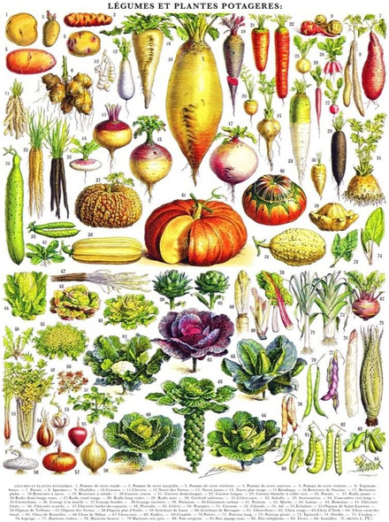 OakridgeStores.com | NEW YORK PUZZLE CO. - Vintage Images Vegetables ~ Legumes - 1000 Piece Jigsaw Puzzle (PD635) 819844011765