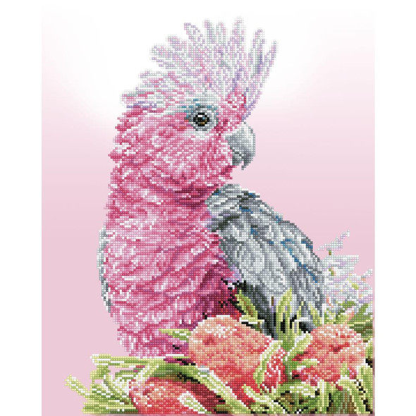 OakridgeStores.com | Diamond Dotz - Diamond Art Craft Kit 16.14"X20.08" - Pink Galah & Banksia (Bird) (DD10058) 4895225925124