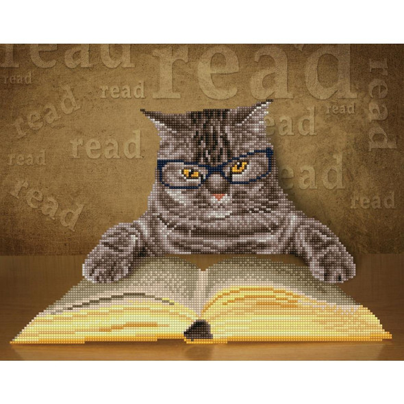 OakridgeStores.com | Diamond Dotz - Simply Dotz Diamond Art Craft Kit 18.5"X14.6" - I Can Read (Cat) (SD6402) 4895225925766