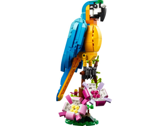 OakridgeStores.com | LEGO Creator 3n1 Exotic Parrot Building Brick Play Set - 253 Piece (31136) 673419373623