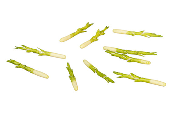 OakridgeStores.com | AZTEC - 10 Pieces Asparagus - 1" Scale Dollhouse Miniature (G6445) 717425644503