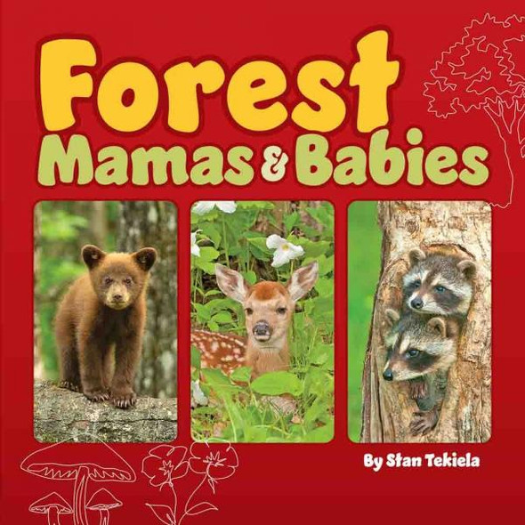 OakridgeStores.com | Adventure Keen - Forest Mamas & Babies - Children's Nature Board - AP53579 9781647553579