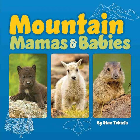 OakridgeStores.com | Adventure Keen - Mountain Mamas & Babies - Nature Board Book for - AP53593 9781647553593