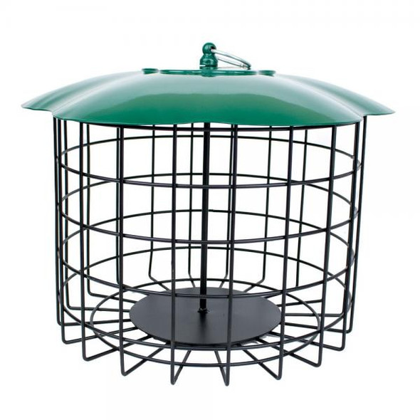 OakridgeStores.com | Backyard Essentials - Squirrel Defeater Seed Log Feeder - For Woodpeckers - BE223 645194780231