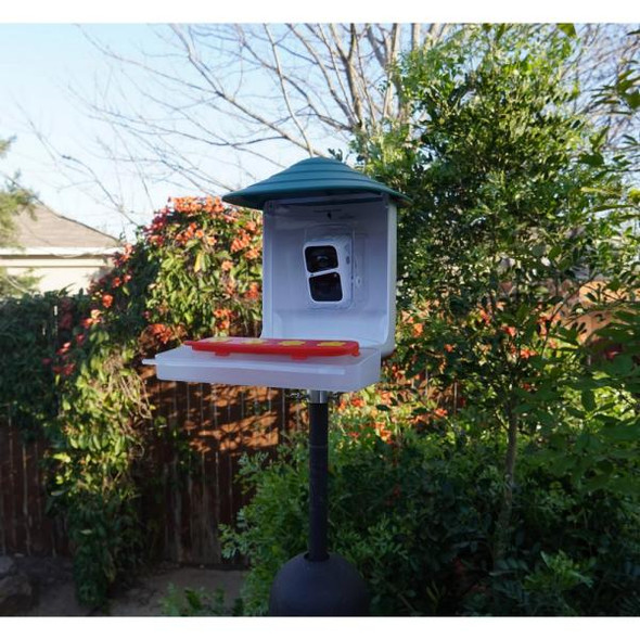 OakridgeStores.com | Beakview Camera - Hummingbird Feeder Attachment - 4 Flower Feeder - For - BVHUM4 784300769286