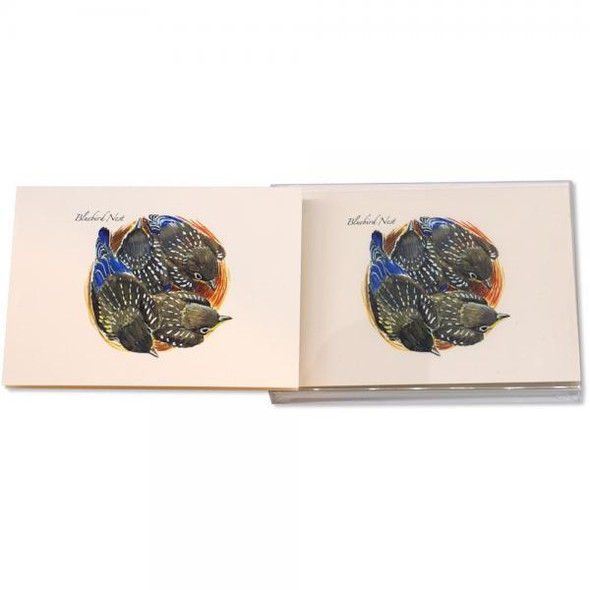 OakridgeStores.com | Earth Sky + Water - Bluebird Nest - Notecards Set - LEWERSNC225 740620920172