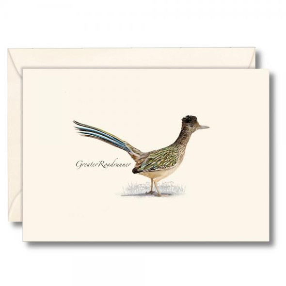 OakridgeStores.com | Earth Sky + Water - Roadrunner Notecards - Set of 8 with Envelopes - LEWERSNC237 740620920325