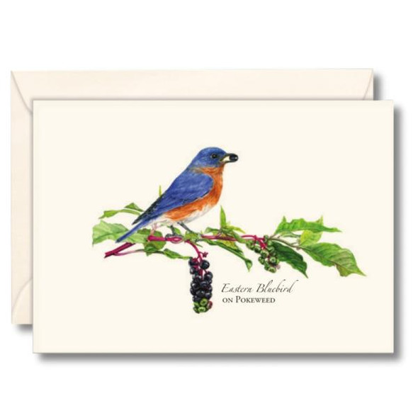 OakridgeStores.com | Earth Sky + Water - Bluebird with Pokeweed - Notecards Set - LEWERSNC278 740620920981