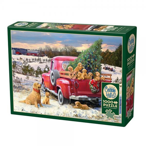 OakridgeStores.com | Outset Media Games - Family Outing - Winter Scenic - 1000 Piece Puzzle - OMP40029 625012400299