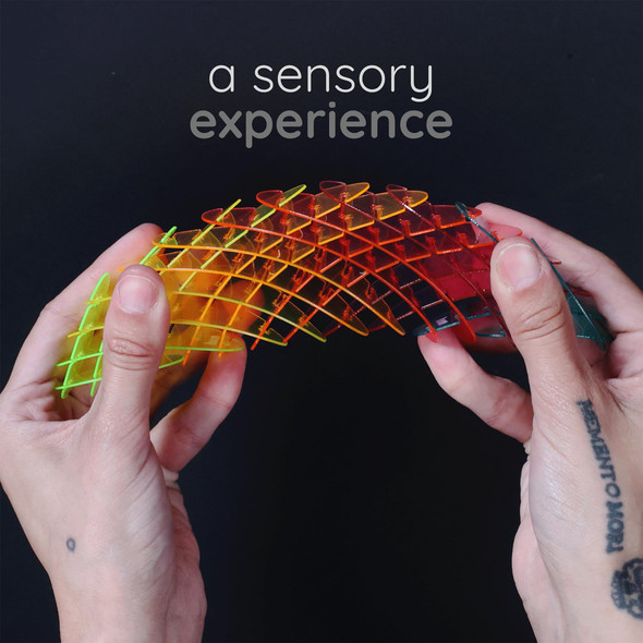 OakridgeStores.com | Morf - Rainbow Small Worm Fidget  Toy - CARSMOWRAIN 860011847113