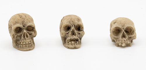 OakridgeStores.com | Artisan Creations - Skull - Assorted, 1 Piece - 1" Scale Dollhouse Miniature - 423