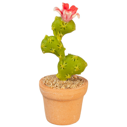 OakridgeStores.com | Aztec - Cactus - 1:12 Scale Dollhouse Miniature Plant - G6353