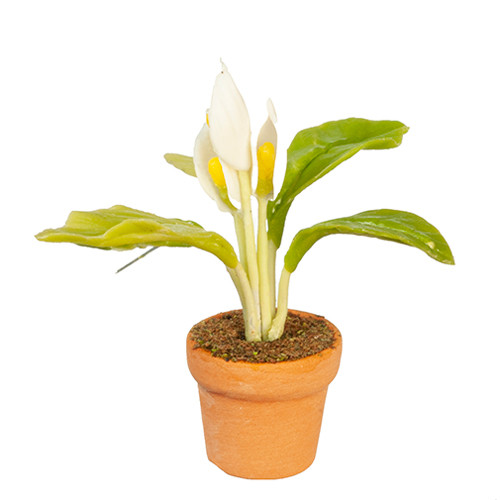 OakridgeStores.com | Aztec - Peace Lily in Pot - Potted Plant - 1:12 Scale Dollhouse Miniature - G6404