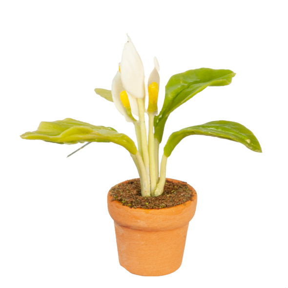 OakridgeStores.com | Aztec - Peace Lily in Pot - Potted Plant - 1:12 Scale Dollhouse Miniature - G6404