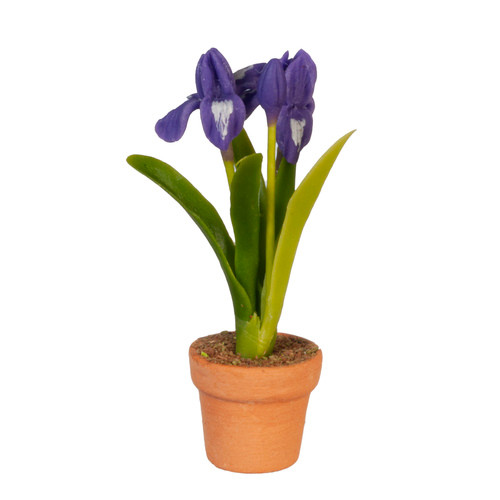 OakridgeStores.com | Aztec - Potted Iris - Purple - 1" Scale Dollhouse Miniature Plant - G6787