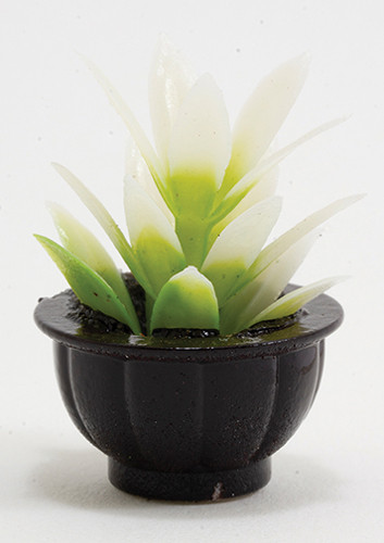 OakridgeStores.com | Creative Accents - White Plant in Black Pot - Potted Plant - 1:12 Scale Dollhouse Miniature - PP4 783970803191
