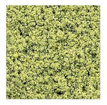 OakridgeStores.com | Model Builders Supply - Dollhouse Traditional (1:12) Fine Foliage/Turf - Pale Green - LFS3PG