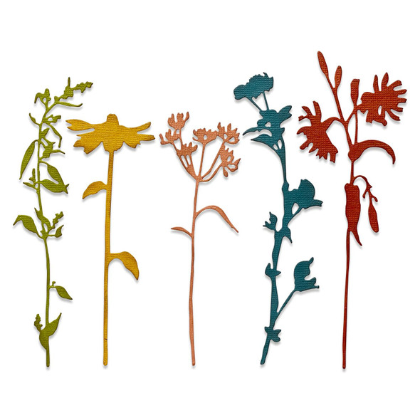 OakridgeStores.com | Sizzix - Wildflower Stems #3 - Thinlits Dies by Tim Holtz - 5/Pkg - 665221 630454270126