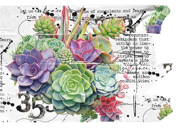 OakridgeStores.com | Aall and Create - Thriving Terrarium - Layer-It-Up Washi Tape - AALL-MT-070