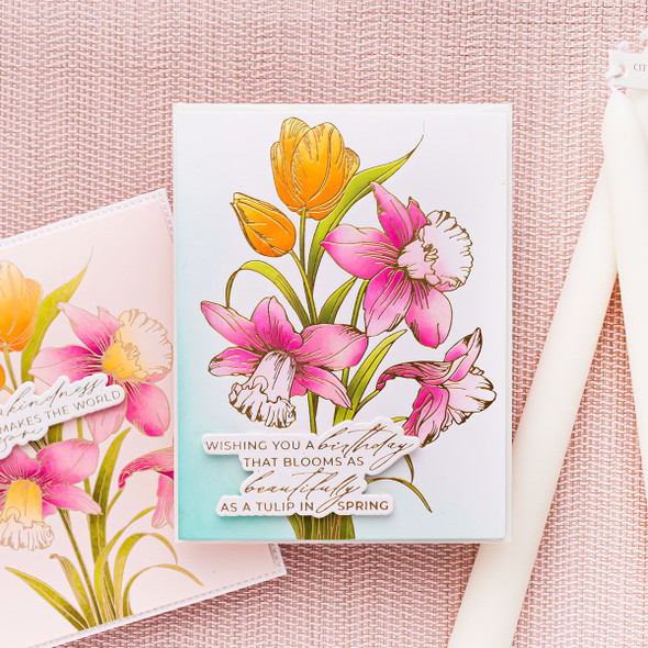 OakridgeStores.com | Spellbinders - Tulips and Daffodils - Press + Foil Plate & Stencil Bundle - BD-1072 810205712017