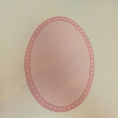 RESALE SHOP - Sam's World Gouldenlabel Large Oval 7" x 10" Pink Bordered Rug - SAM-LO001-NS7352