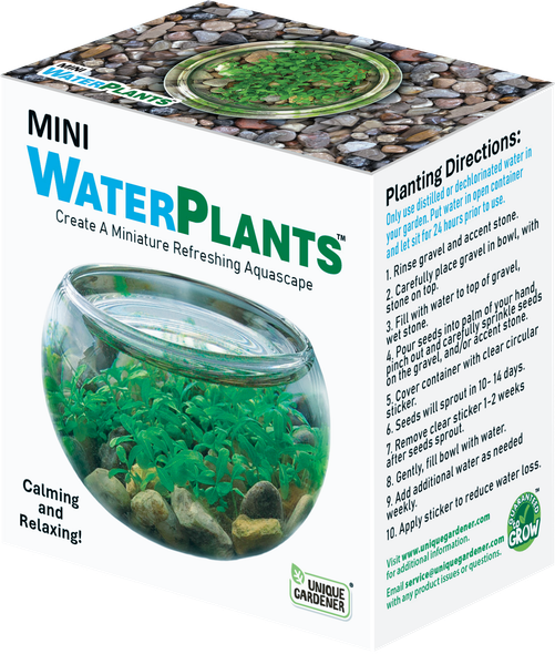 OakridgeStores.com | Toys By Nature - Mini Waterplants Aquatic Terrarium - Mini Water Jade Tabletop Glass Kit - MBWP-310 810003403100