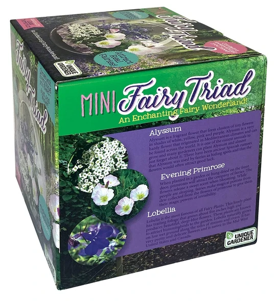 OakridgeStores.com | Toys By Nature - Mini Fairy Triad - Glass Terrarium Growing Kit w/ Seeds & Stones - OGMF-201 810003402011