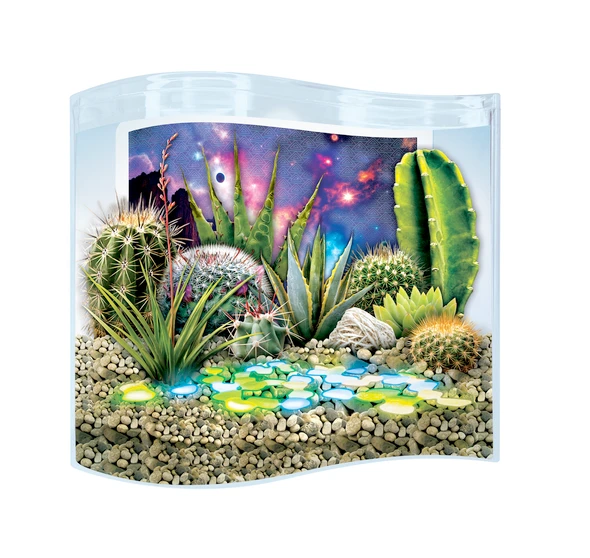 OakridgeStores.com | Toys By Nature - Galaxy Garden - Wave Terrarium Kit w/ Cacti & Succulent Seeds, Glow Rocks & Decal - WTGG-633 810003406330